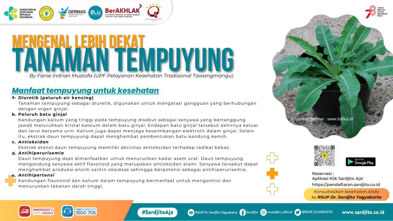 Responsive image