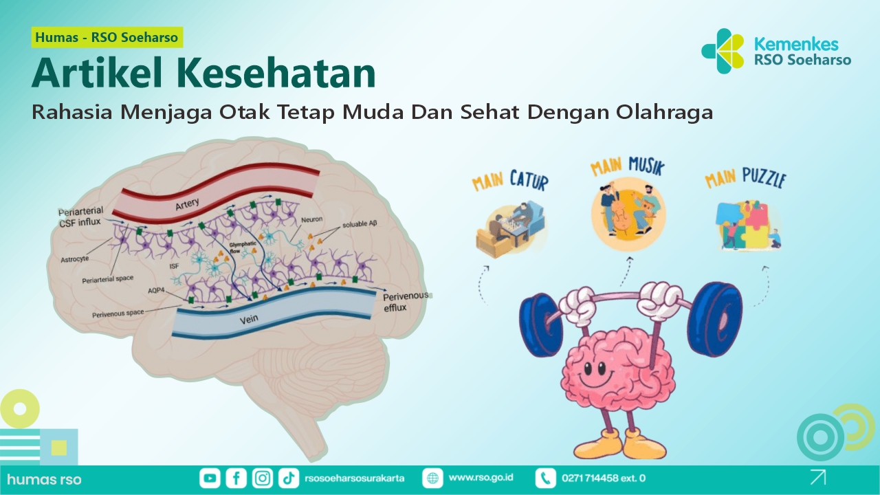 Rahasia Menjaga Otak Tetap Muda dan Sehat dengan Olahraga 