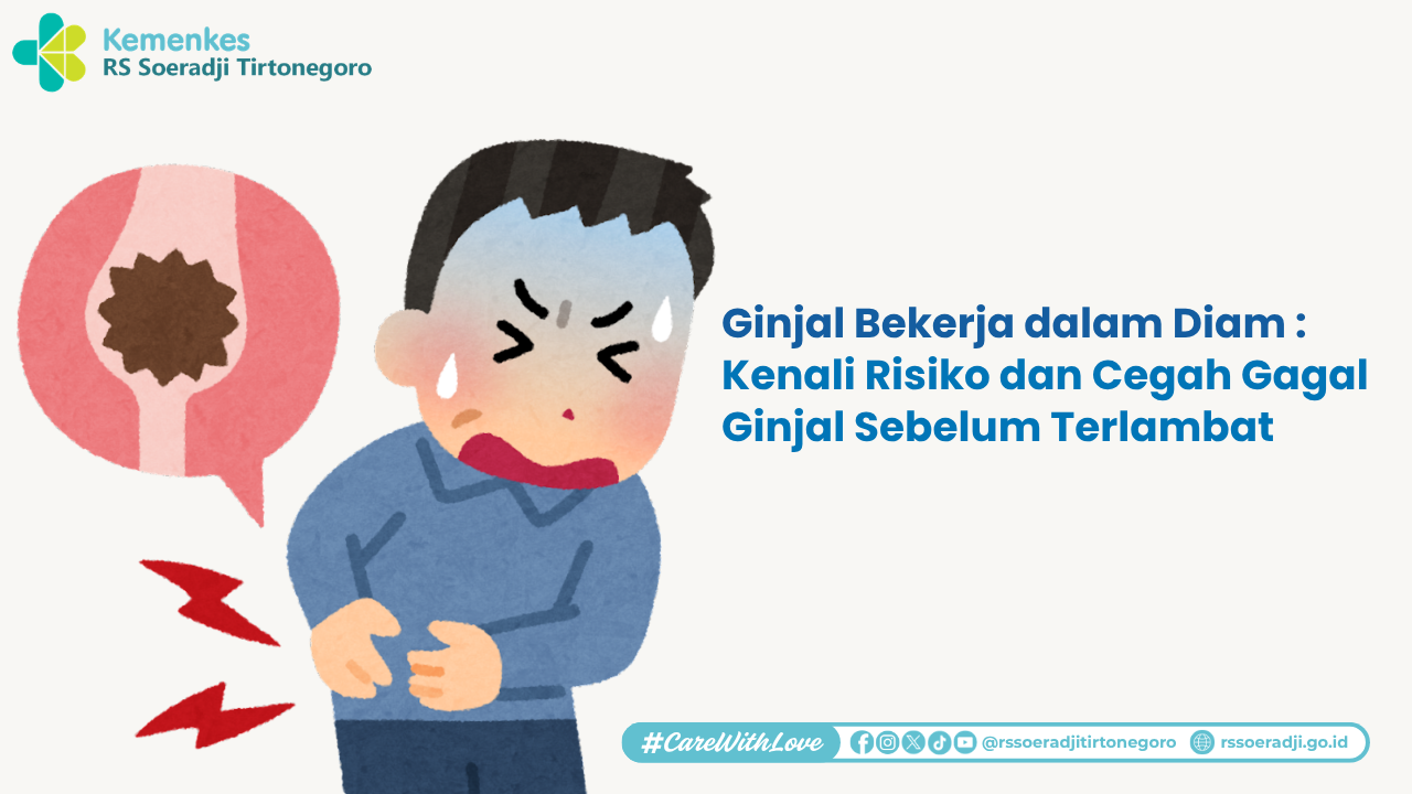 Ginjal Bekerja dalam Diam Kenali Risiko dan Cegah Gagal Ginjal Sebelum Terlambat