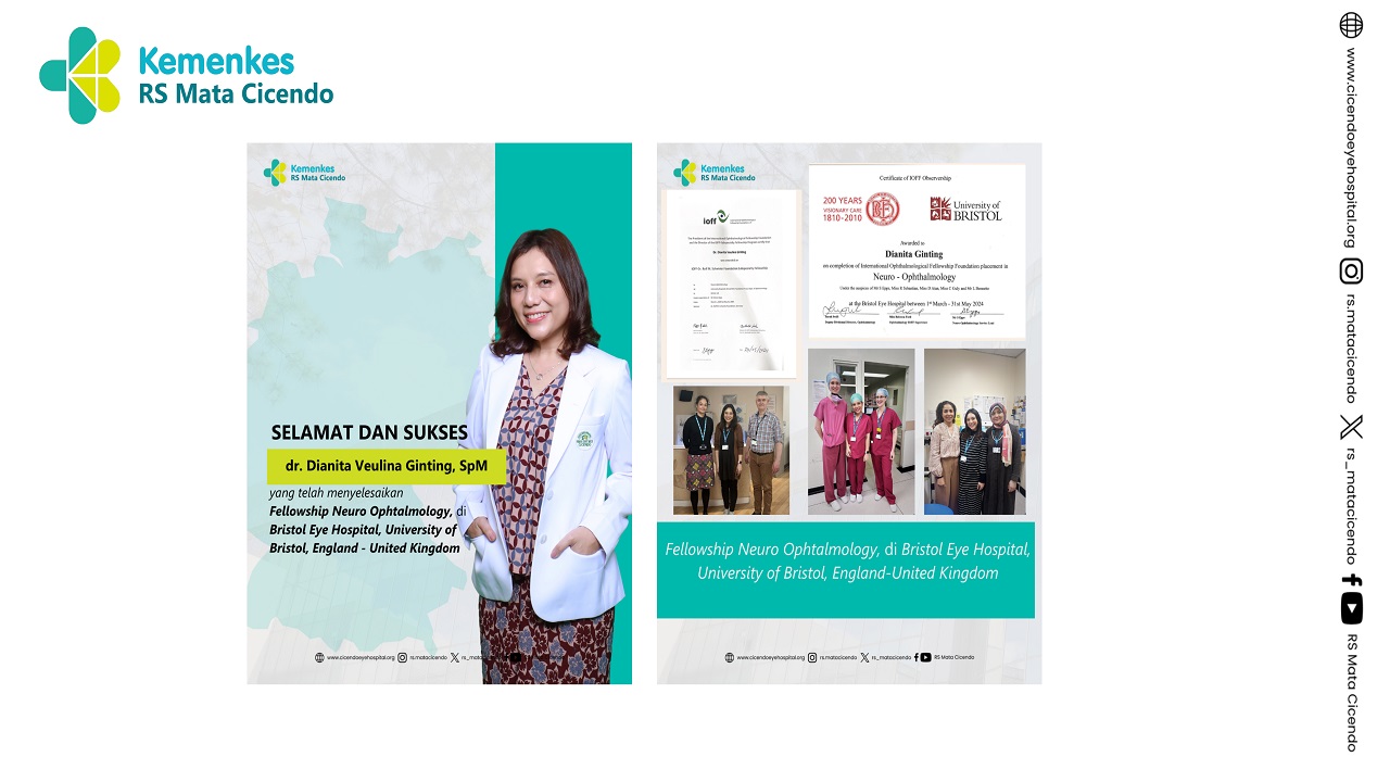 Dr Dianita Veulina Ginting  telah menyel