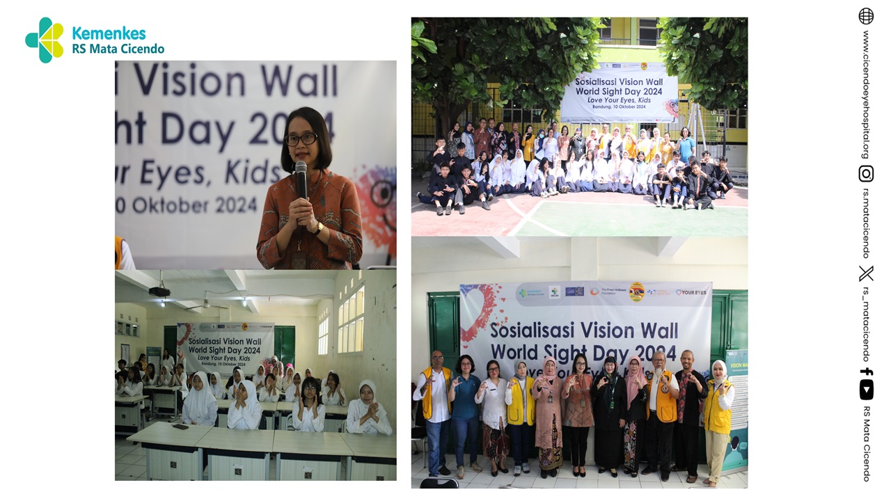 Sosialisasi Vision Wall PMN RS Mata Cice